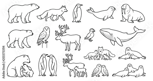 Bild auf Leinwand Arctic animals line art collection, 18 polar wildlife vector icons, minimalist n