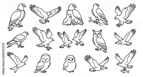 Schilderij op canvas Minimalist bird of prey line art collection, 15 eagle and owl vector icons, blac