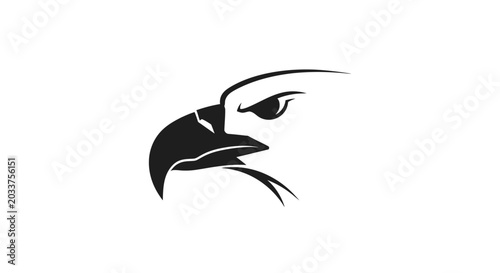 Photos Detailed illustration of an eagle head.