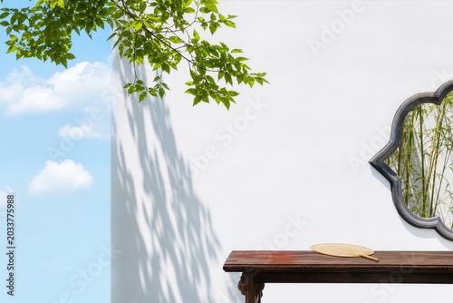 Corner of a Chinese Courtyard with White Wall and Green Shadows