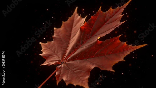 Vibrant red maple leaf against dark background with sparkling particles