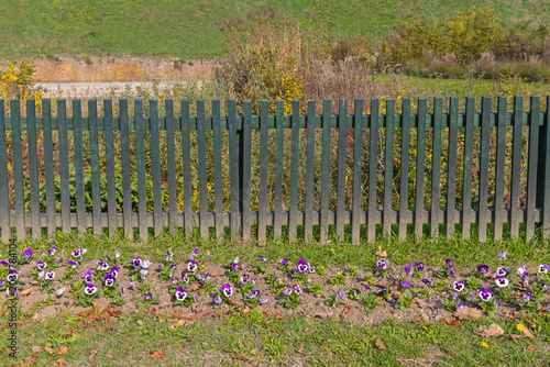 Foto Green Fence at Town Park in Slavonski Brod Croatia Autumn