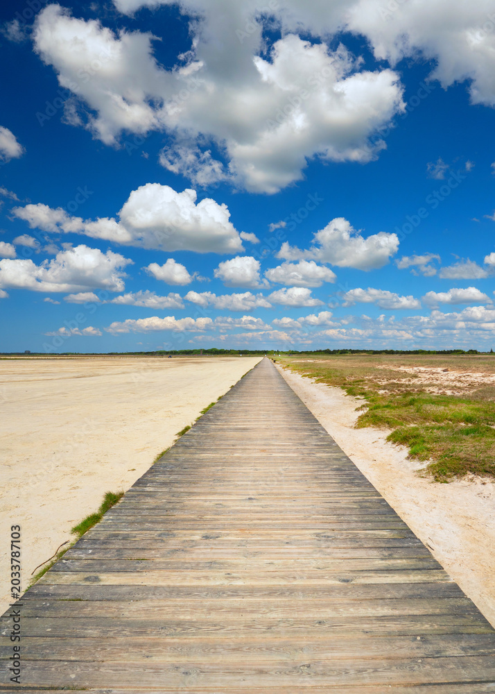 Obraz premium wooden walkway to the sea in summer season
