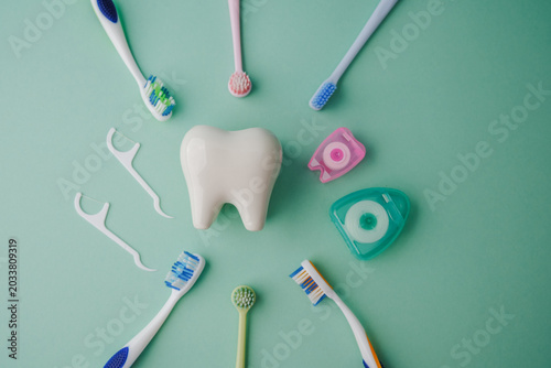 A clean white tooth model surrounded by toothbrushes and dental floss on a light green surface.