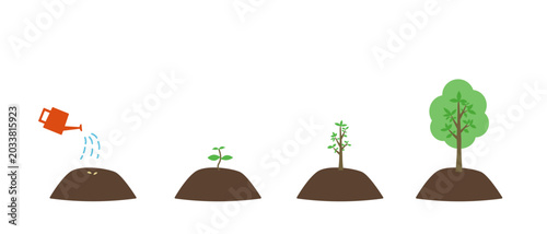 Foto 種から木に育つ植物の成長過程のイラスト