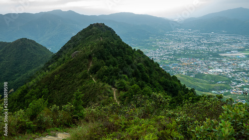 Photos Montane forests in the humid subtropics of Hong Kong Island