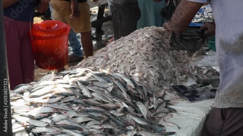The fish seller puts his goods in a bag and passes them to the customers on fish market in Sri Lanka
