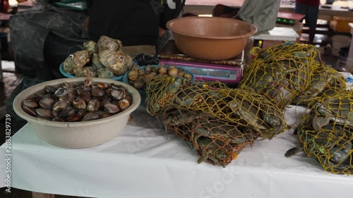 Fresh crabs and clams in nets close-up on fish market in Sri Lanka