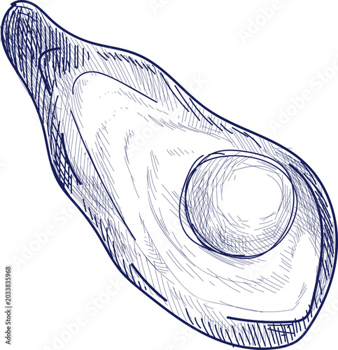 Photos Pearl in Mussel