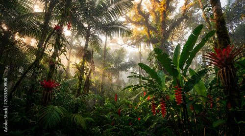 Sunrise in Tropical Jungle with Dense Foliage and Bright Flowers