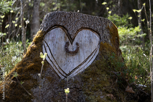 A heart carved into a tree stump with a horseshoe in the forest- luck and love in nature