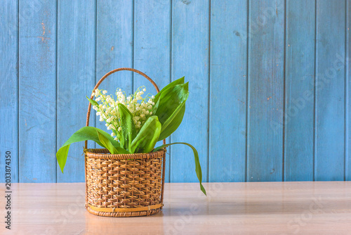 Spring holiday greeting card template; basket with bouquet of lily of the valley flowers on a table agaisnt blue paint wooden planks; copy space