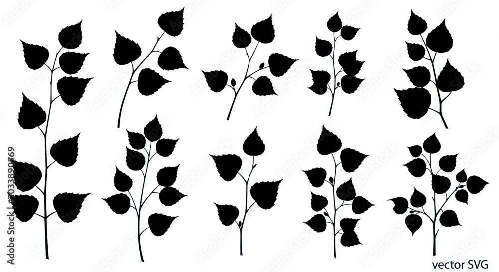 Fototapeta premium Black Silhouette Birch Tree Branches with Leaves Vector Set