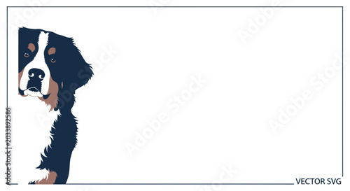 Foto Bernese Mountain Dog Portrait - Elegant Canine Illustration with White Space