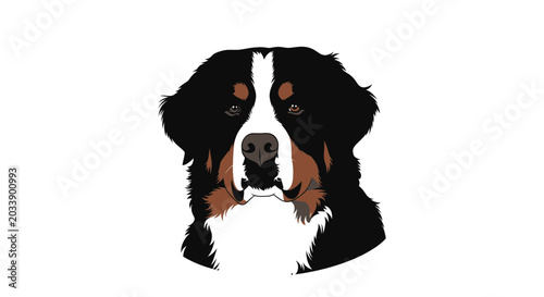 Bild auf Leinwand Bernese Mountain Dog Portrait, Cute Dog Face, Domestic Animal, Purebred Canine