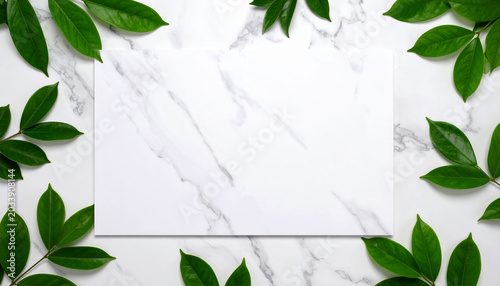 a white background is partially obscured by large green leaves, creating an effect of a semi transparent barrier.