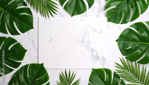 a pattern of green tropical leaves in a repetitive circular design covering a large portion of the surface, possibly a table or wall.