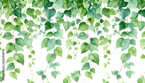 a vertical strip of illustration with an alternating pattern of large green leaves and smaller white leaf shapes, creating a sense of depth and texture