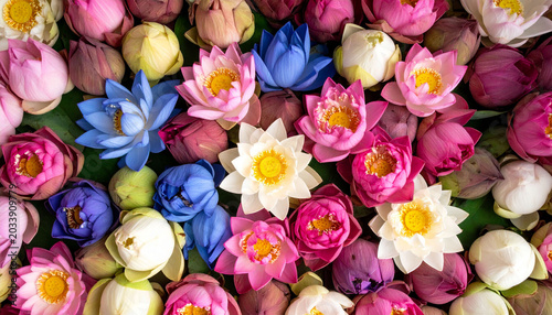a vibrant floral arrangement composed of various types of flowers, each contributing to the lush spectacle