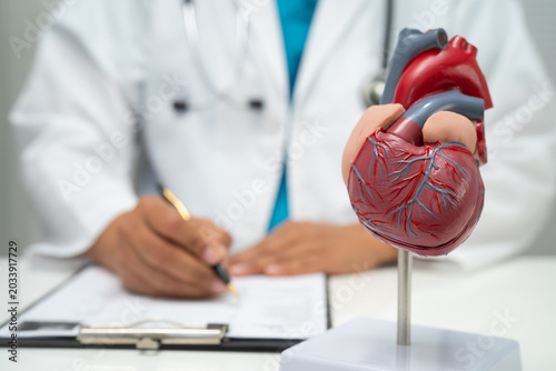 Photos Cardiovascular disease CVD, doctor with heart human model anatomy for treatment patient in hospital