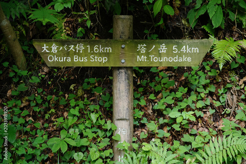 神奈川県_丹沢_塔ノ岳