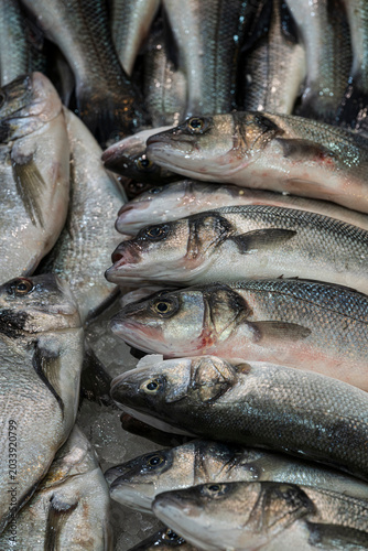 Fresh fish on display at open market
