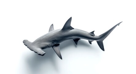 A sleek and elegant hammerhead shark swims gracefully in the ocean. Its unique shape and features make it a fascinating creature. Perfect for marine life enthusiasts. AI