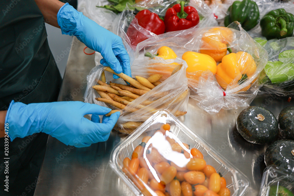 Fototapeta premium Careful worker wearing blue glove on hand sorting fresh vegetable food into plastic packaging on metal table for hygienic preparation and safe grocery delivery