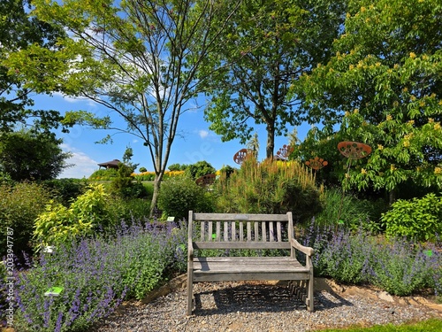 Bench in a park