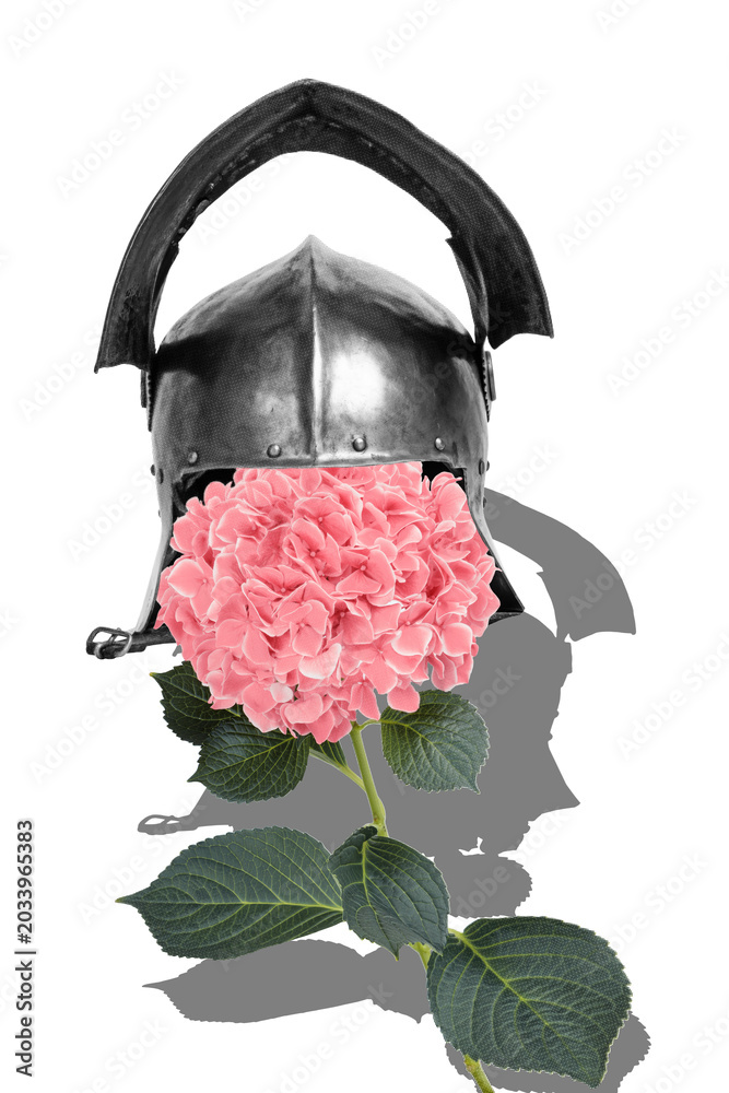 Obraz premium Trend image vertical photo collage of steel prehistoric armor helmet hydrangea flower bloom romantic era renaissance knight