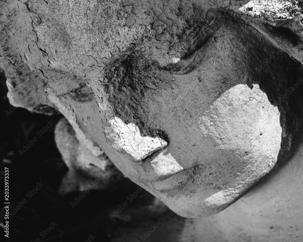 Obraz premium Sensual angel statue in elegant black and white close up.