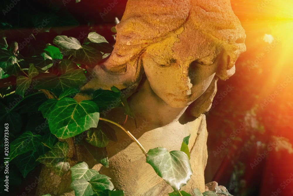 Obraz premium Angel of hope illuminated by warm heavenly sunlight.
