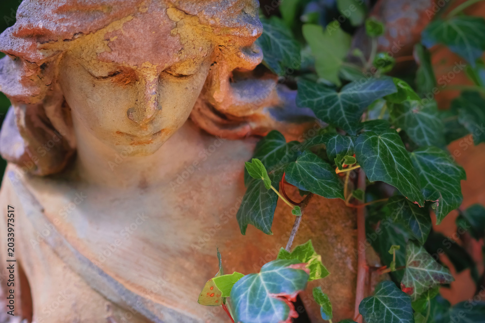 Obraz premium Beautiful sensual angel statue surrounded by green ivy.