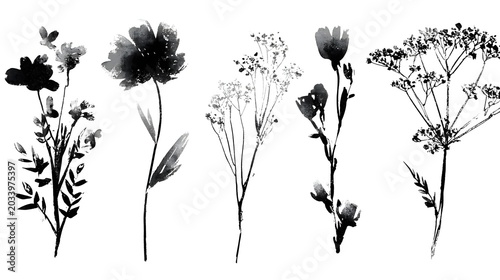 Grunge minimal charcoal or chalk spring summer flower collection. Vector illustration of ink hand drawn wild herbs set. Wax crayon drawing style. Floral silhouette elements 