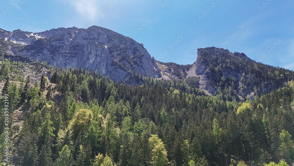 Fototapeta premium Aerial view of rocky mountain peaks and alpine forest in Austria