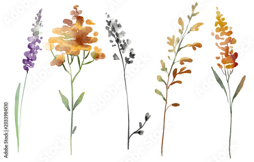A set of abstract watercolor wildflowers: five graceful botanical branches in vibrant autumn and lavender hues, executed in a loose, hand-drawn style.