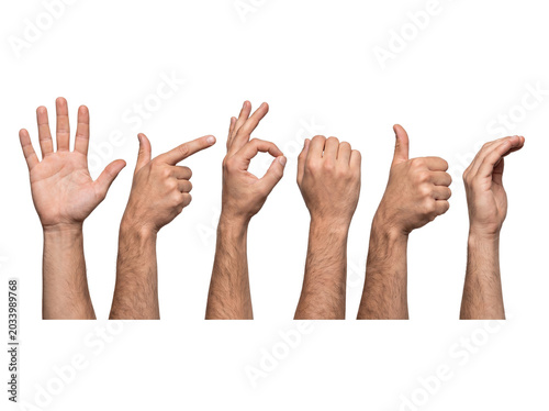 Cuadro en lienzo Diverse set of male hands demonstrating common gestures like open palm, pointing, okay, fist