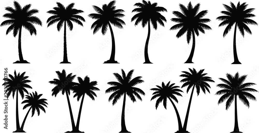 Obraz premium Collection of palm trees in various shapes and sizes black and white palm tree