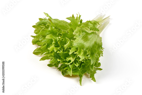 Fresh Green Leaf Lettuce, isolated on white background