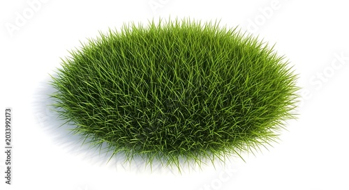 Lush green grass patch isolated on white background