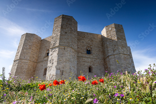 Tableau sur toile Castel del Monte (Pouilles - Italie)