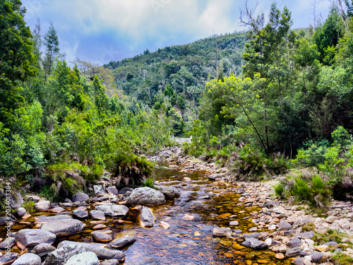 Vászonkép Scenic view of Knysna river in the Tsitsikamma forest