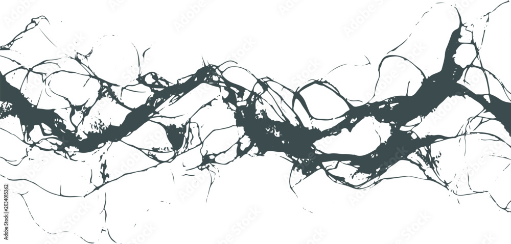 Obraz premium Abstract black fluid vein ink texture