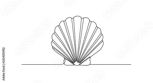 Continuous line drawing of a seashell