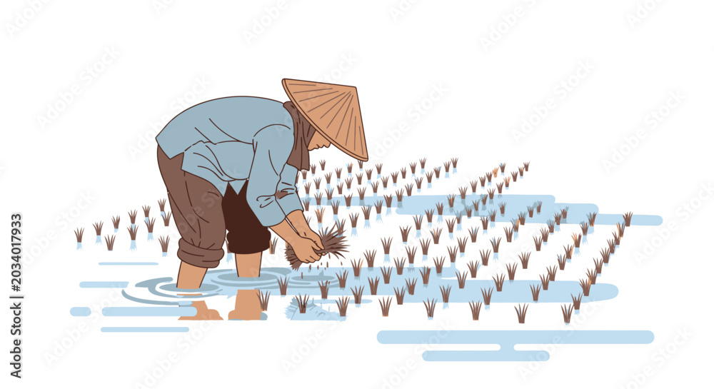 Fototapeta premium Farmer planting rice seedlings in paddy field vector illustration