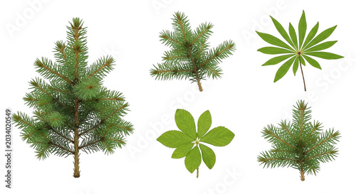 Collection of isolated green coniferous tree branches and broad green leaves on a black background, featuring pine needles and palm-like foliage