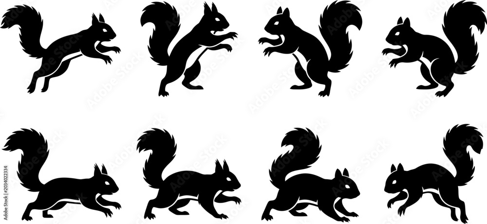 Fototapeta premium Eight detailed black squirrel silhouettes in playful jumping and running poses for wildlife graphic design