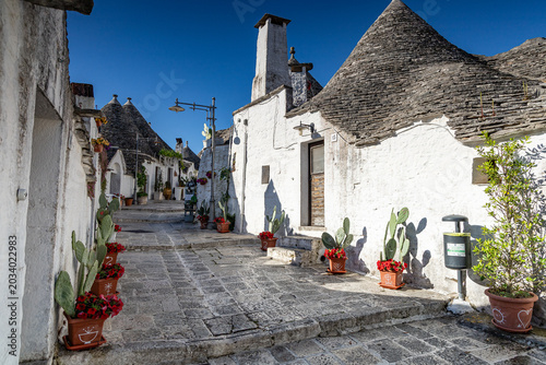 Schilderij op canvas Alberobello (Pouilles - Italie)