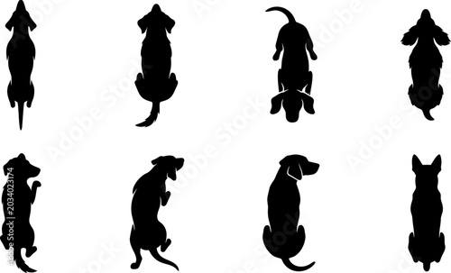 Foto Top view silhouettes of various dog breeds standing in a set isolated on white b