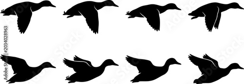 Obraz na płótnie Set of duck silhouettes in various flight formations for waterfowl and hunting o